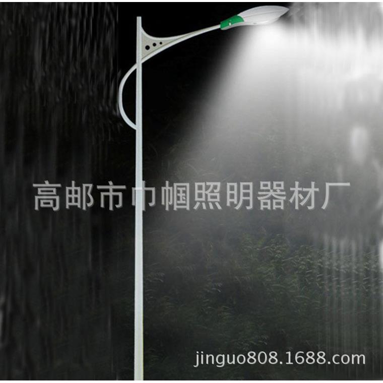 Q235小区路灯杆8米Q235整体热镀锌白色喷塑灯杆量大从优