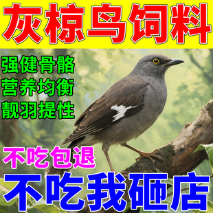 灰椋鸟鸟食乌鸫丝光椋鸟幼鸟白头鹎开口营养鸟粮壮膘提性通用饲料