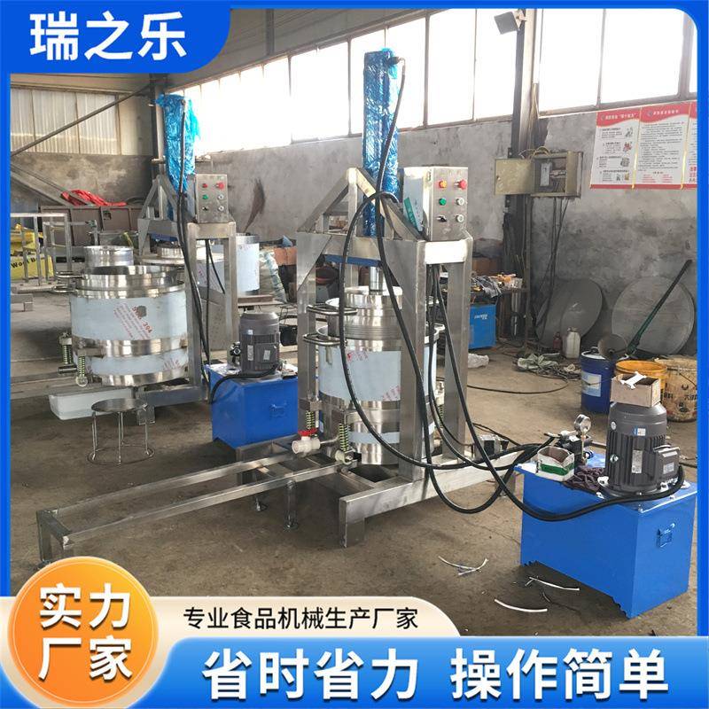 刺梨橙子压榨过滤机葡萄酒糟压榨机商用腌渍咸菜脱盐机双桶轮换