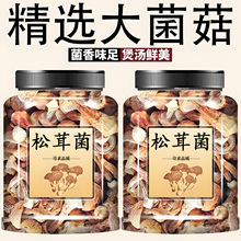 新鲜松茸菌干货炖鸡煲汤食材菌菇类精选松茸菌天然无添加松茸菌干