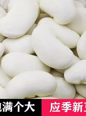 云南白云豆大颗粒干货批发杂粮500g新货大芸豆大豆大白豆无硫雪豆