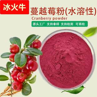 工厂现货水溶性蔓越莓粉可供第三方检测报告可商检蔓越莓汁粉