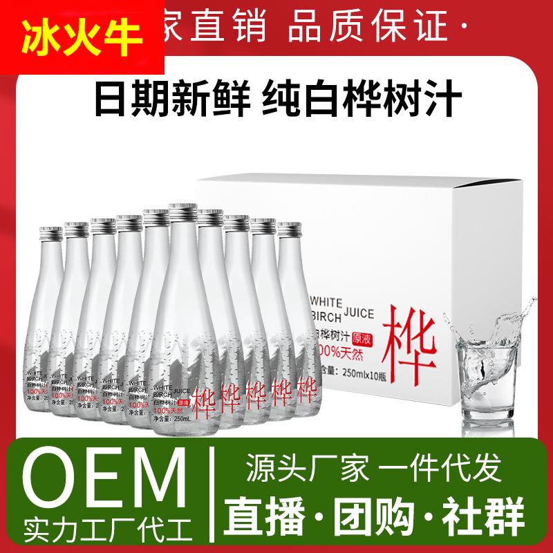 白桦树汁白桦树水原汁原液小兴安岭