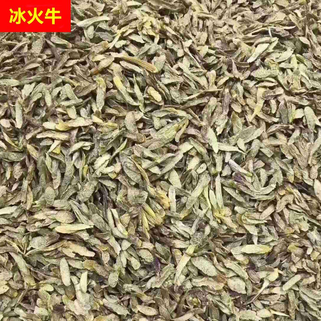 浙江铁皮石斛片枫斗干条切片胶质饱满冲水煲汤料代客打粉药材