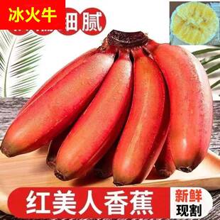 福建红美人香蕉红色的香蕉当季新鲜网红孕妇水果红皮香蕉