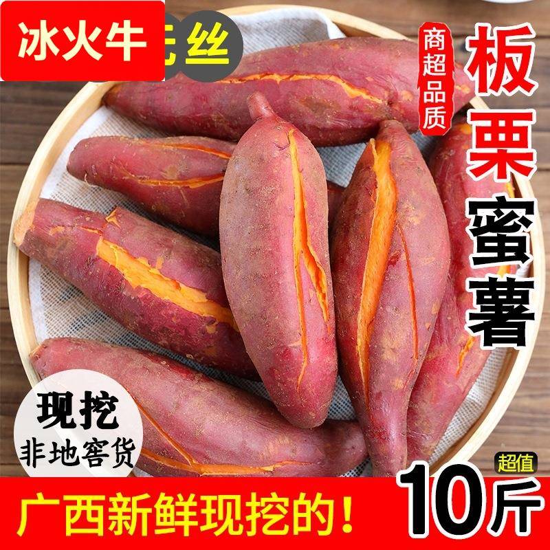 新鲜蜜薯板栗红薯沙地糖心地瓜10斤农家自种番薯现挖黄心香薯山芋