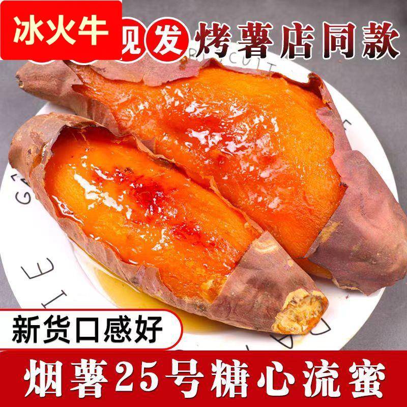山东烟薯25号烤薯店地瓜新鲜农家自种5蜜薯沙地番薯糖心流油