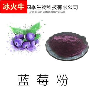 蓝莓果粉 植提厂家 现货供应 马基梅粉 1公斤起订包邮 速溶粉