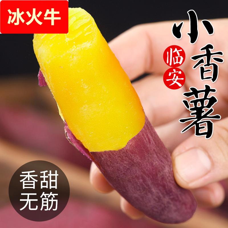 小香薯临安天目山黄心板栗红薯新鲜地瓜粗粮番薯山芋粉糯香甜