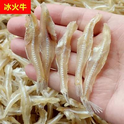 §小鱼干无头鱼干白凡鱼微甜公干鱼水晶银鱼干北海特产海鲜干货25