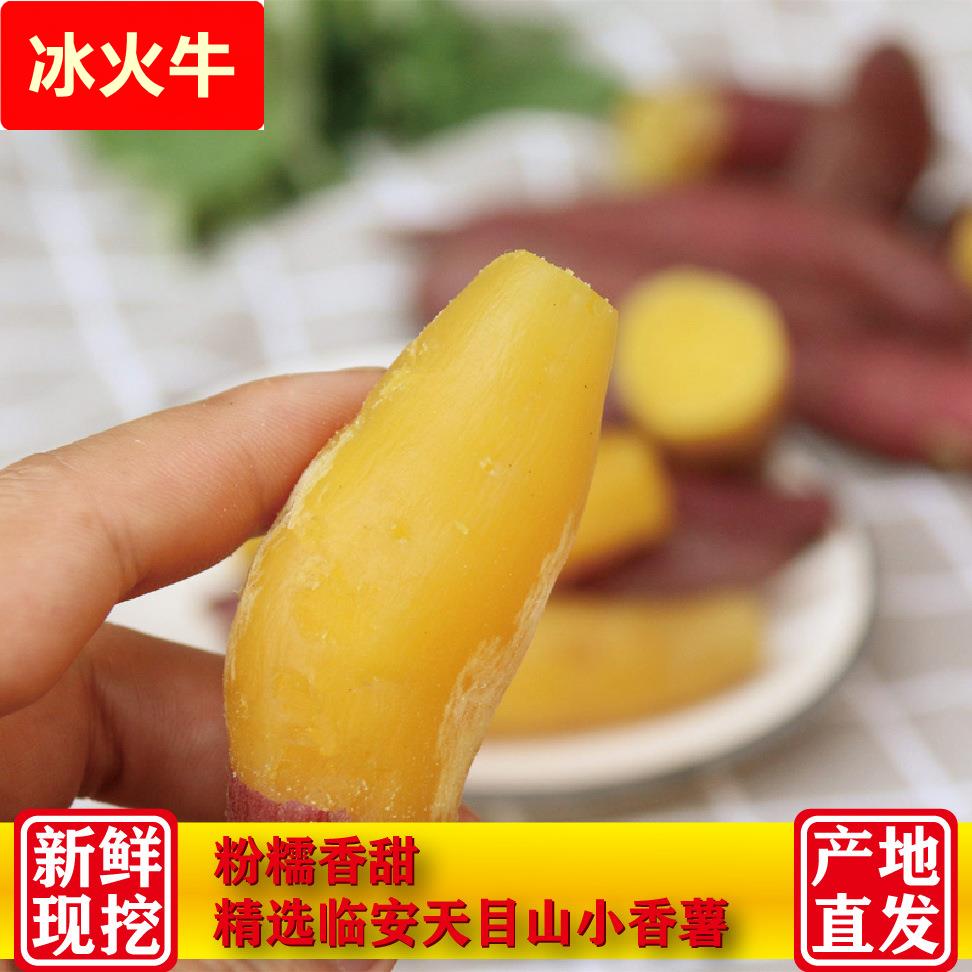 临安天目山小香薯5斤板栗红薯拇指番薯地瓜迷你小山芋新鲜