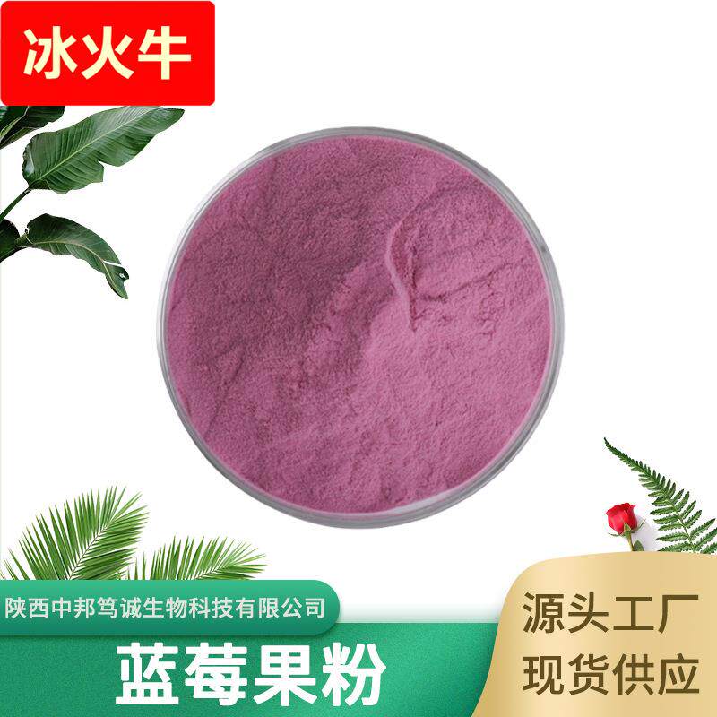 蓝莓果粉 蓝莓粉 蓝莓汁粉 蓝莓粉 蓝莓提取物 水溶蓝莓粉 现货