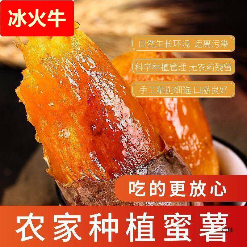 红薯山东烟薯25蜜薯糖心红心流油地瓜新鲜农家沙地山芋烤番薯10斤