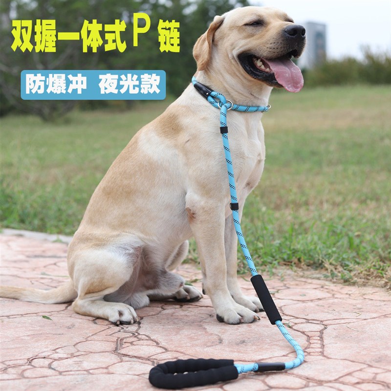狗狗牵引绳狗链狗绳宠物训练P绳一体式宠物P链双握手防爆冲夜光款