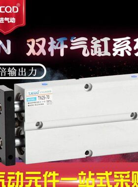 双轴双杆小型气缸TDA/TN16*5-10-15-20-25-30-40-50-75-80x100S
