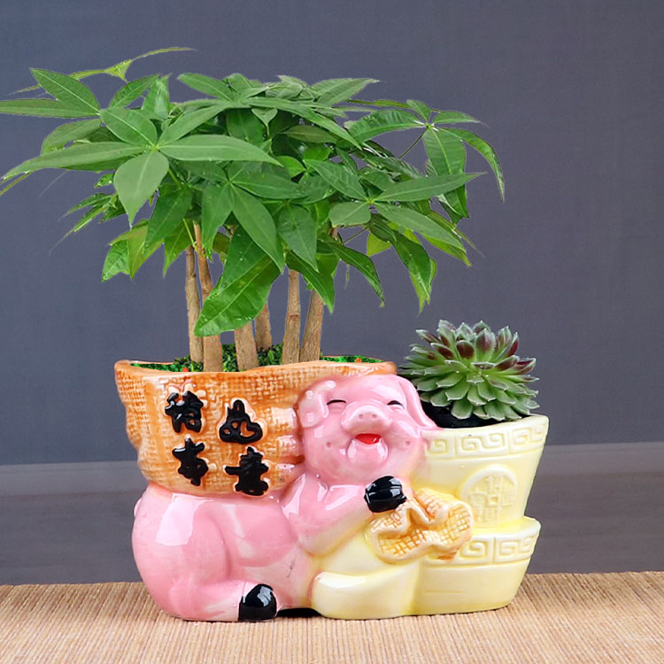 陶瓷双口连体双筒花盆个性创意植物盆发财树蝴蝶兰多肉盆栽专用盆