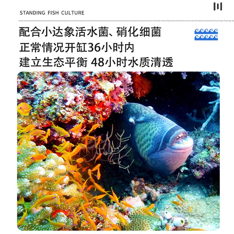 小颗粒滤材鱼缸专用细菌屋陶瓷环龟缸过滤材料净水过滤器硝化培菌