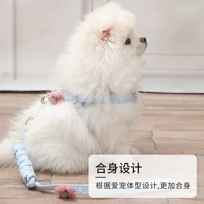 拴狗绳套脖小型犬小体狗狗牵引绳狗带可爱夏天可调节幼犬遛狗绳子