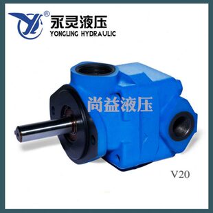 1P1P YLC仙居永灵叶片泵V10 R1B