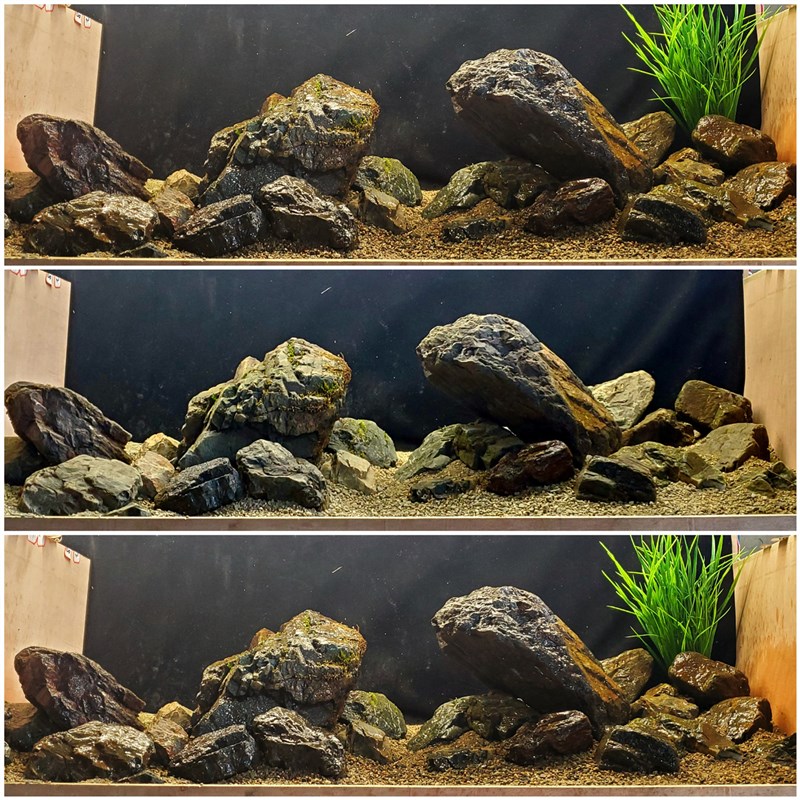 溪流原生b缸造景 溪流石天然鹅卵石鱼缸造景组合石头套餐三湖慈鲷