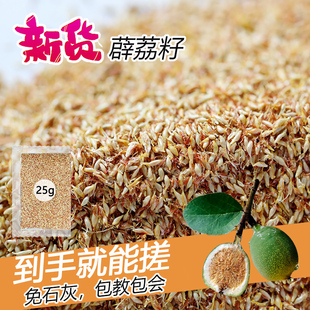 新货江西特产凉粉籽手搓冰凉粉薜荔果夏季不用石灰凉粉籽农产品