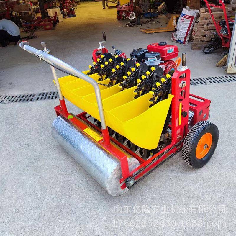 株距可调新款大蒜播种机三行农用种蒜机电动蒜瓣种植机