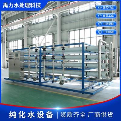 35TH纯化水设备二级反渗透高纯水制备系统化工医药行业工厂供应