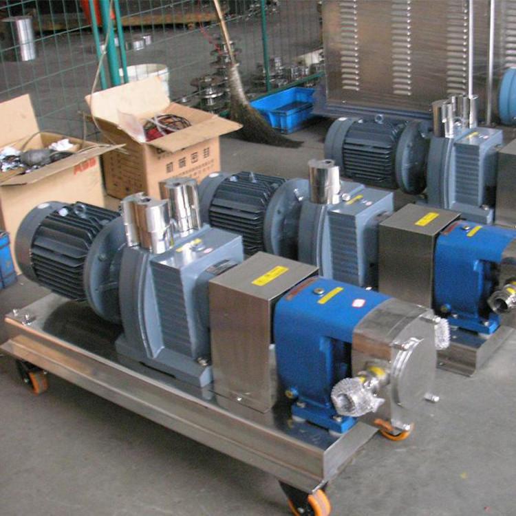 按时发货凸轮转子泵泵头泵业304不锈钢泵耐腐蚀耐酸碱泵