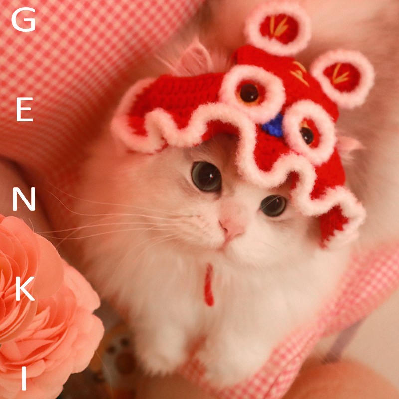元気喵丨新年宠物老虎披风猫咪衣服英短饰品保暖宠物衣服宠物帽子
