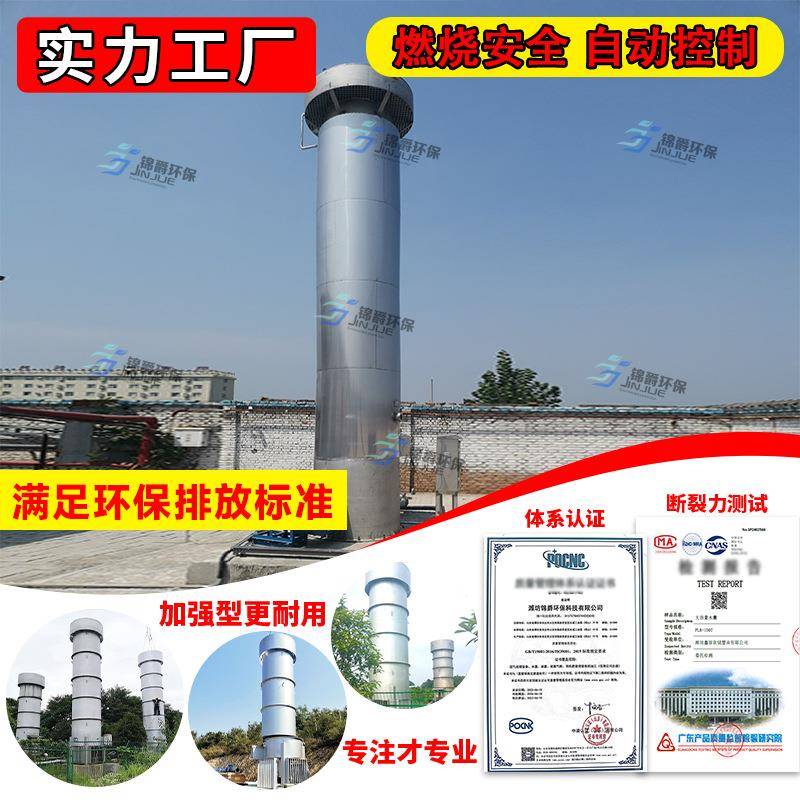 沼气火炬全自动内燃外燃式养殖场污水处理厂垃圾填埋场低氮火炬