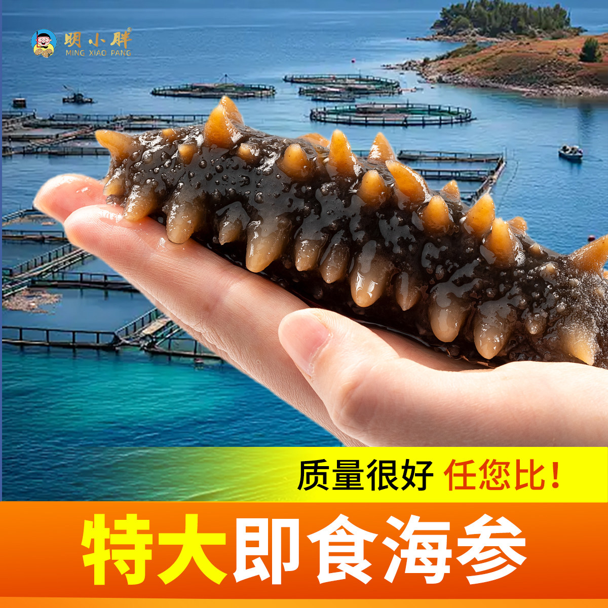 海参正品官方旗舰店即食大连野生刺海参独立包装中秋礼盒送礼佳品