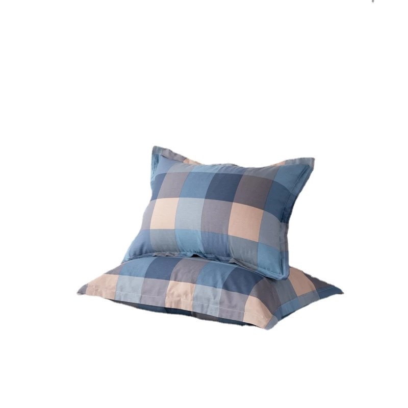 2024新款A类枕头套全棉纯棉单个儿童40x60枕芯内胆套48x74一对装2