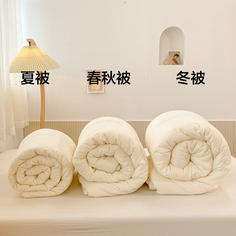 2米x2米3被芯儿童150x200一米五220x240秋季秋天被子冬被秋冬加厚