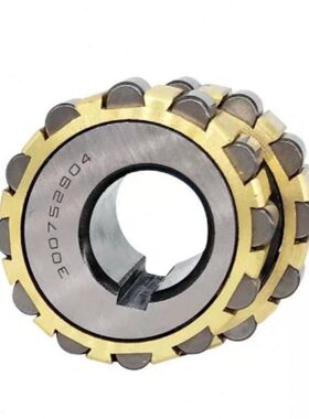 整体偏心轴承100752307 150752307 200752307 300752307 K RN312M