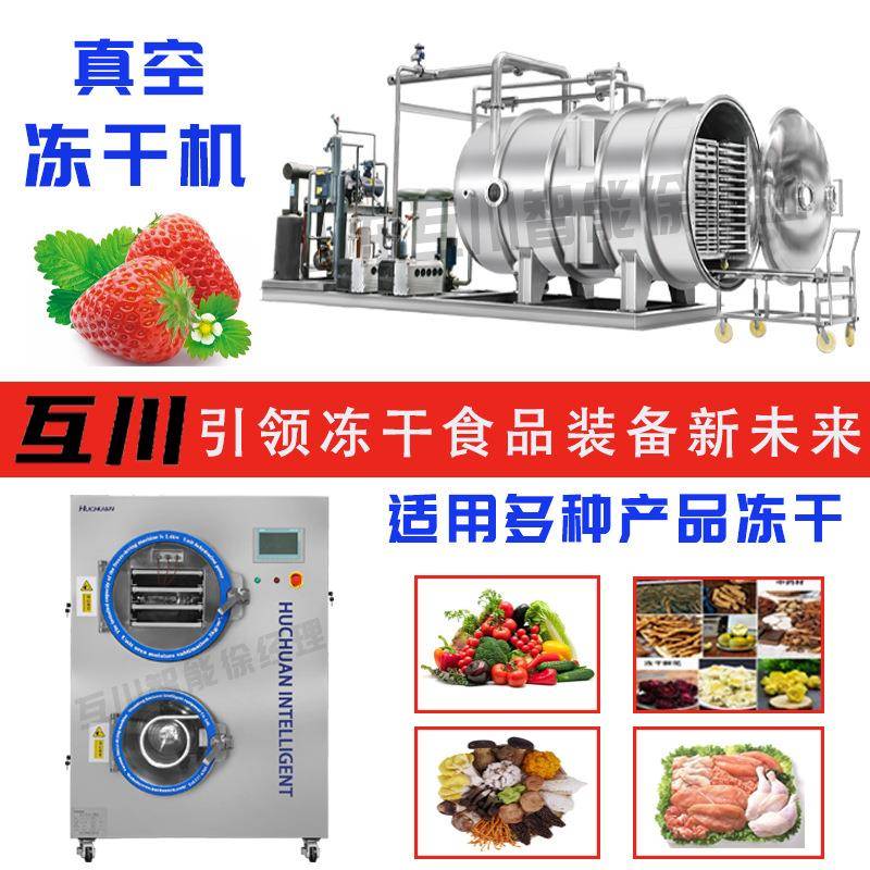 现货供应小型食品冻干机水果蔬菜糖果低温冷冻干燥机冻干机厂家