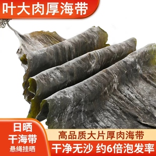 胖超市东来霞浦海带干货海带头特级厚昆布海带丝片煲汤凉拌旗舰店