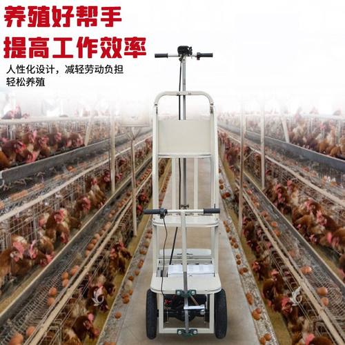 鸡舍养殖场电动骑蛋观察