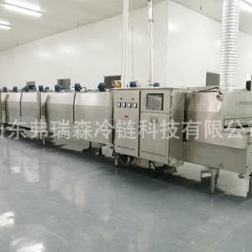 商用果蔬隧道式速冻机鲜玉米荔枝草莓火锅食材加工极速冷冻设备