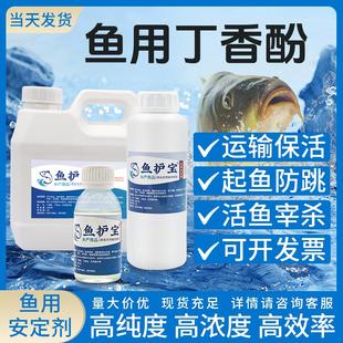 鱼护宝鱼用丁香酚镇定安定剂麻鱼晕鱼麻醉手术水产运输保活高纯度