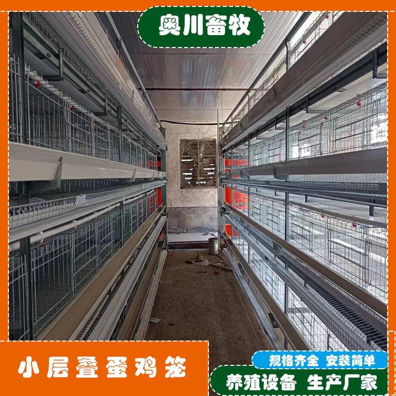 鸡笼全自动清粪捡蛋层叠式小层叠三层/四层蛋鸡笼