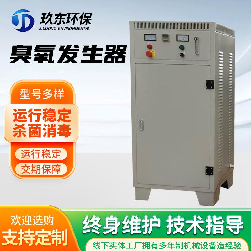 中小型臭氧发生器厂家定制工业级水处理臭氧机空气源氧气源臭氧