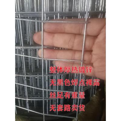 热镀锌铁丝网电焊网片小孔网格阳台钢丝防护围栏不生锈圈地护栏网