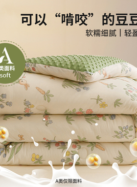 2024新款大豆纤维被春秋被子被芯四季通用冬季保暖加厚冬被可机洗