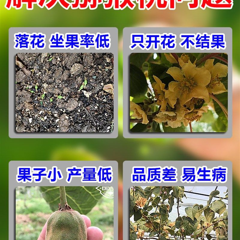 猕猴桃授粉药果树保花保果药防落果素果实膨大增甜剂花粉结果肥料,鲜花速递/花卉仿真/绿植园艺,家庭园艺肥料,淘宝优惠券,粉丝福利购,淘宝优惠卷