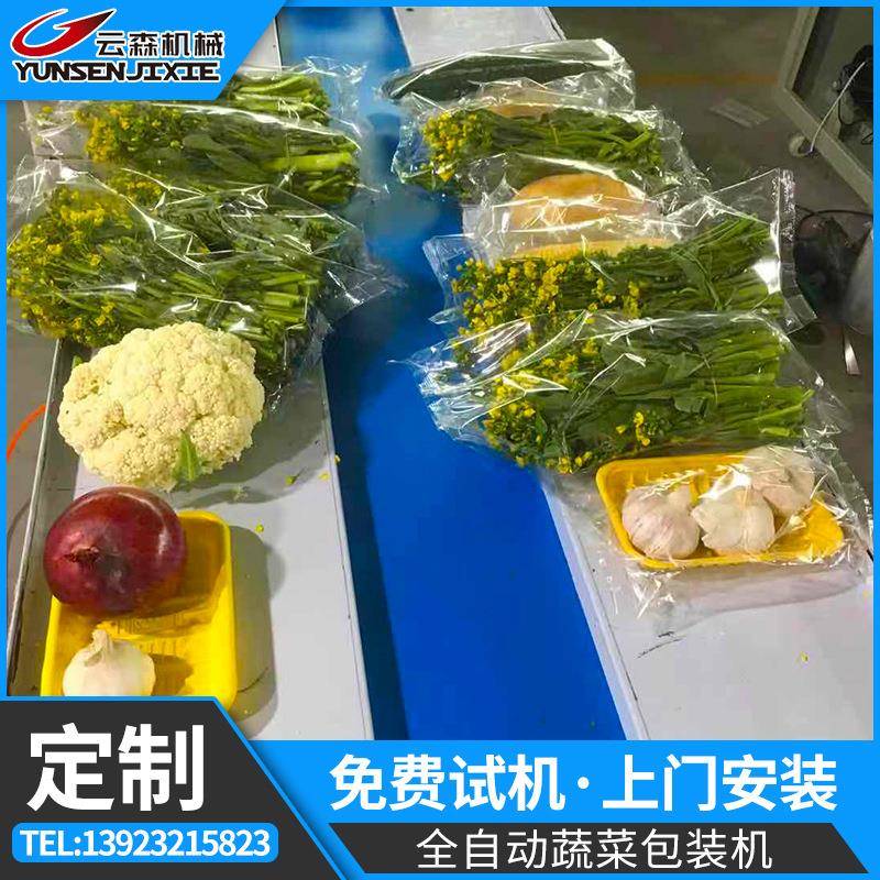 定制蔬菜打包机袋装绿叶菜果蔬自动套袋打包机青菜瓜果枕式包装机
