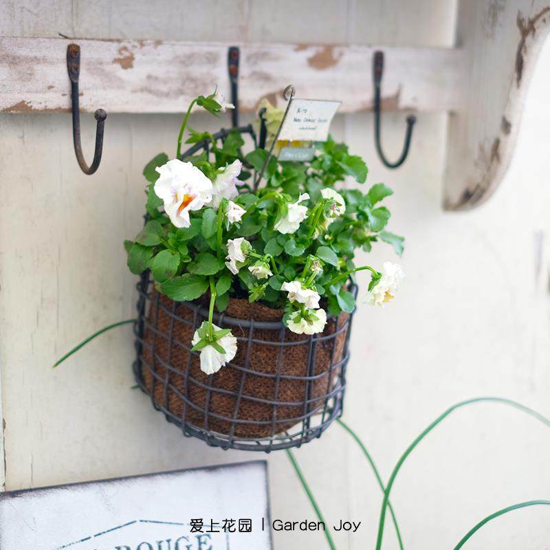 爱上花园|铁丝网格编织壁挂篮 麻布防水壁挂篮墙面装饰园艺墙挂,鲜花速递/花卉仿真/绿植园艺,其它园艺用品,淘宝优惠券,粉丝福利购,淘宝优惠卷