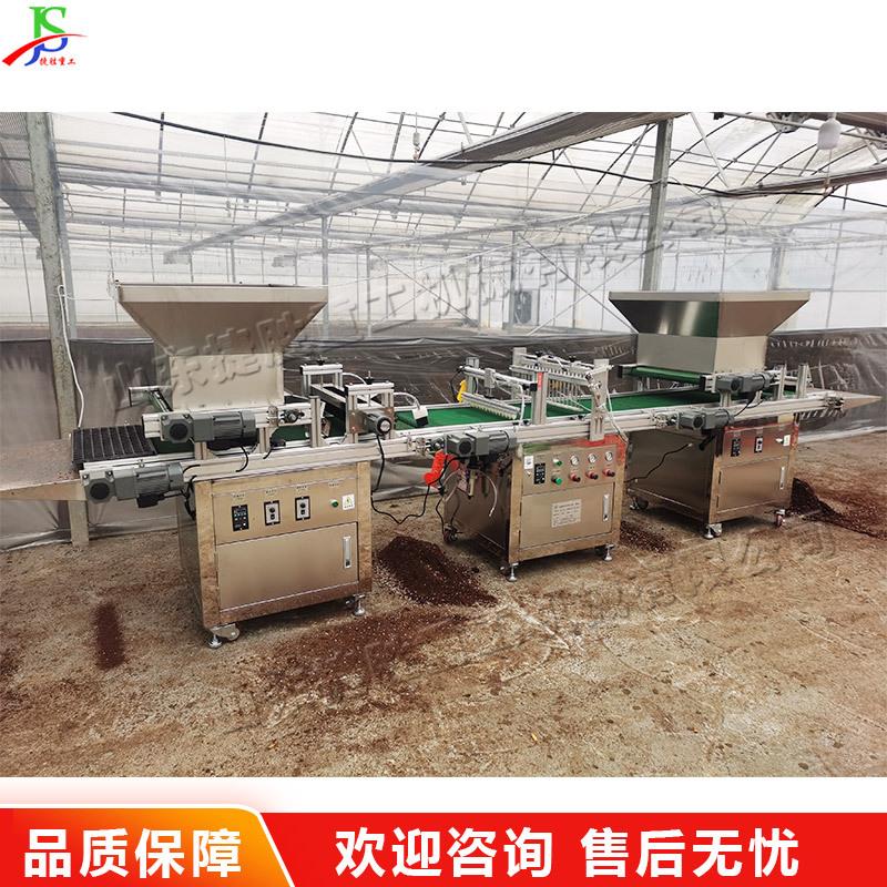 全自动光感育苗设备 大棚种植育苗机 自动漂盘蔬菜花卉种植育苗机