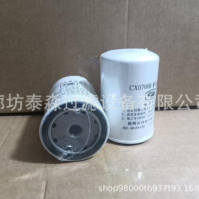替代云内 01110496 P550934 JX0810 1560B87305 滤清器滤芯