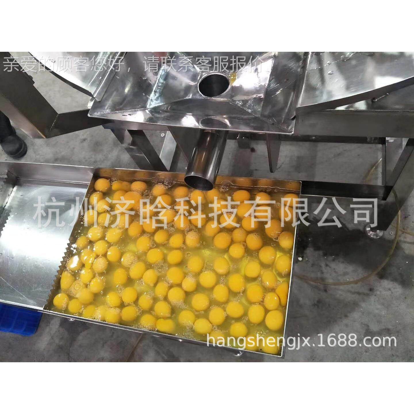 打蛋机,敲蛋机,磕蛋机,全蛋液加工生产设备,鸡蛋液生产线