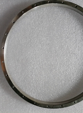 RESR20USA229雷尼绍圆光栅